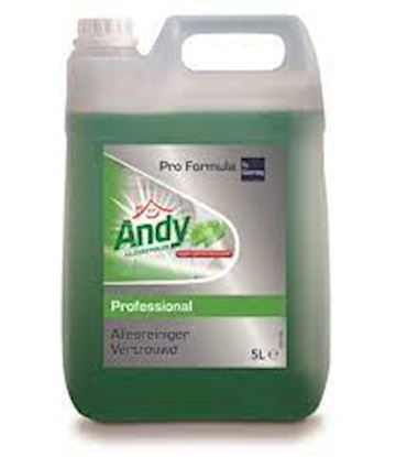 Andy pro formula fresh apple 5ltr.